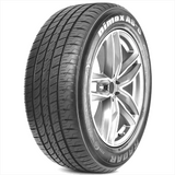 225/55R16 RADAR DIMAX ALL SEASON TIRE -8 95V + ROAD HAZARD