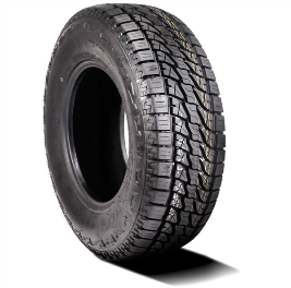 Lion Sport tire with advanced tread design for superior traction and performance