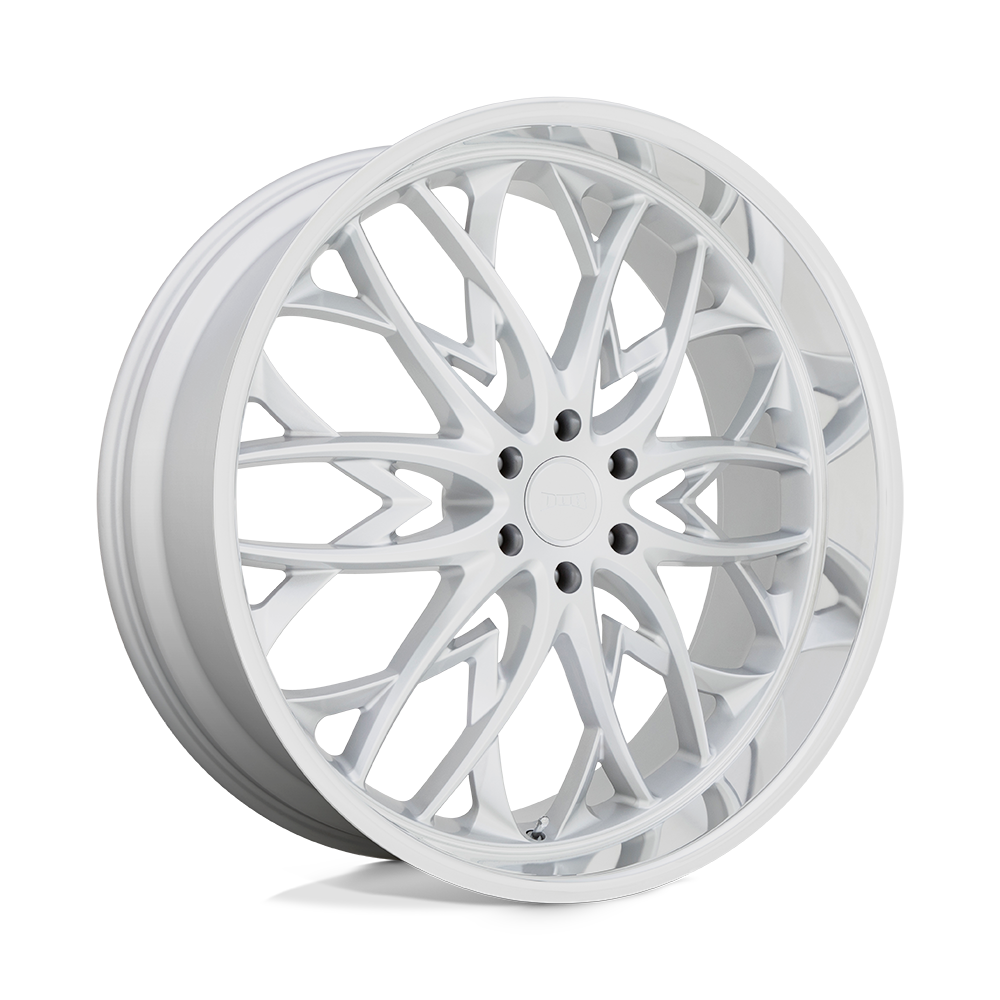 S264 22X9.5 6X5.5 SLV DIA-LP 25MM DUB 1PC