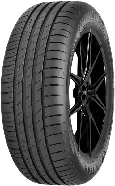 Goodyear all-season tire featuring robust construction for long-lasting durability