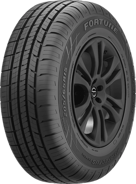 175/65R14 82T Fortune Perfectus FSR602