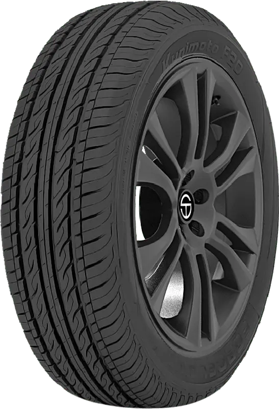 205/60R15 91HForceland Kunimoto-F20
All Season Passenger tire