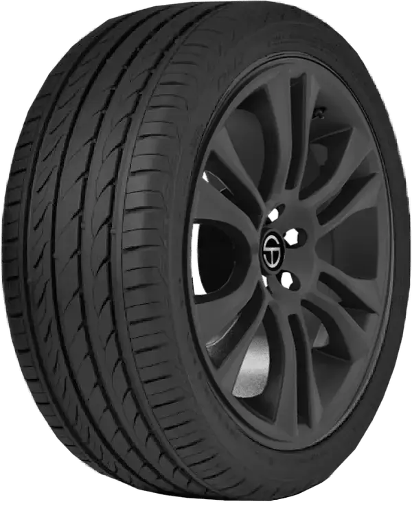 205/60R15 91V XLDelinte DH2
All Season Passenger tire