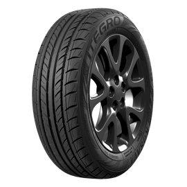 Tegro performance tire on black alloy wheel