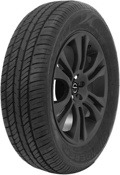 175/65R14 82H Thunderer Mach I R201